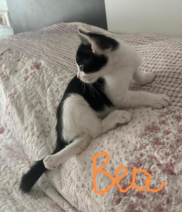 Bob e Bea  Foto 6